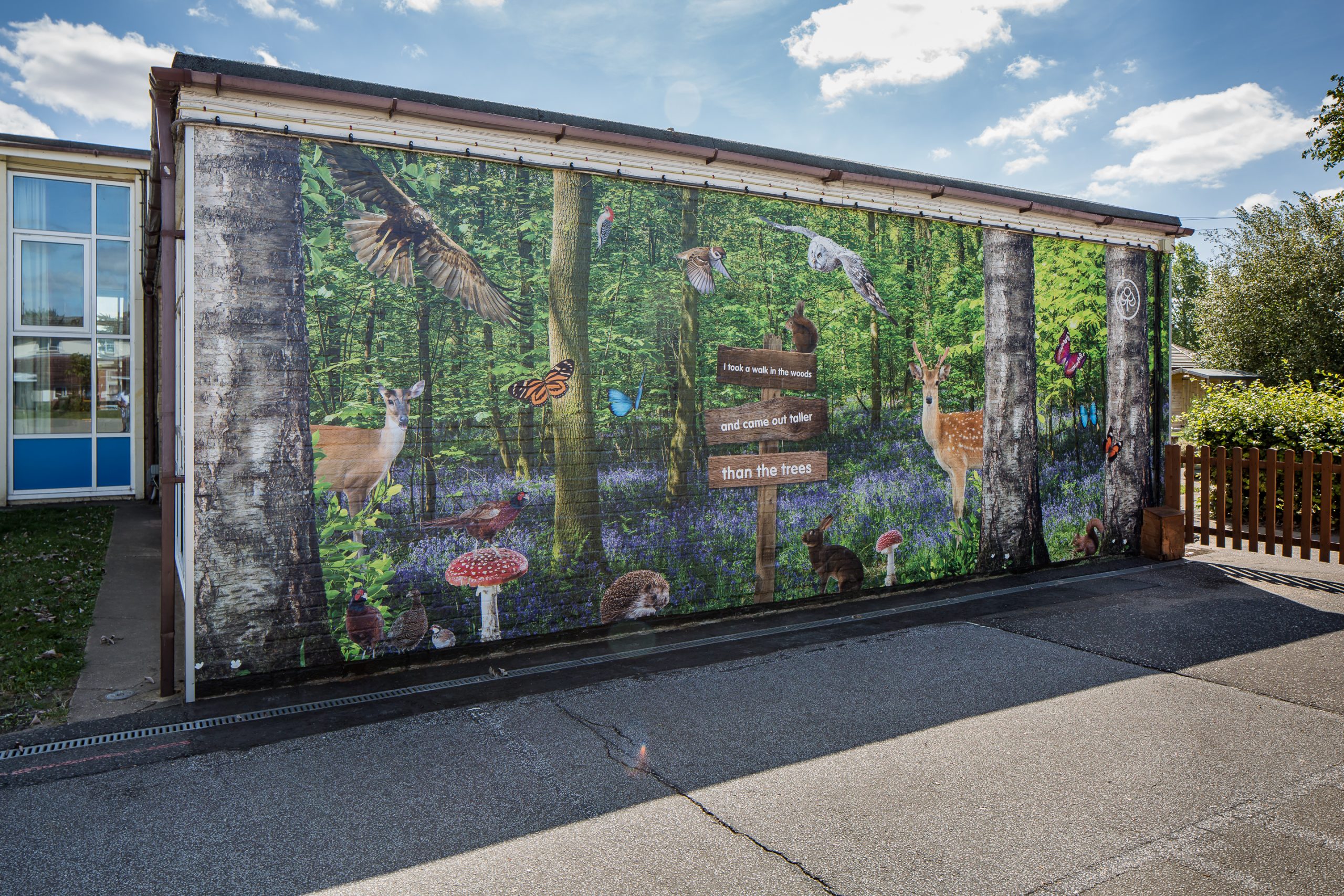 Cherry Tree Academy - woodland feature wall